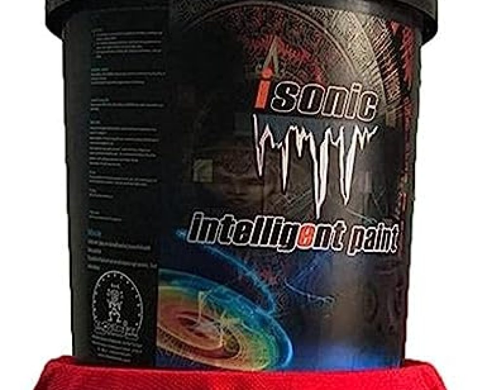 61kl6wIcF5L._AC_SY450